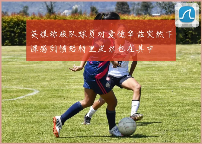 英媒称狼队球员对爱德华兹突然下课感到愤怒特里皮尔也在其中